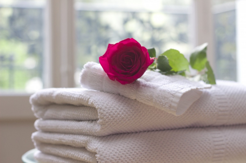 chambre-hote-ROQUEBRUNE SUR ARGENS-min_towel_rose_clean_care_salon_spa_white_bath-731641